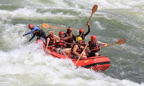 bossupsafaris 12